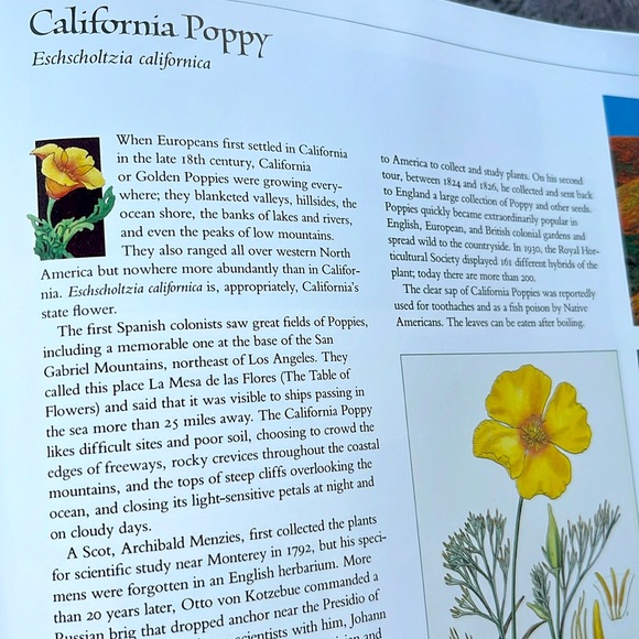 USPS Wildflowers A Collection Of U.S. Commemorative Stamps Hardcover Book - Picture 12 of 16